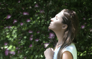 Read more about the article Holistic Wellness – Beyond Diet and Exercise